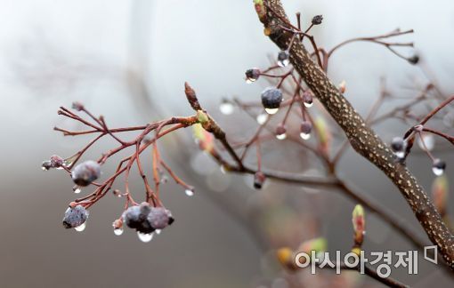 주말인 26일과 27일은 서울을 포함해 내륙 지방 기온이 크게 떨어지고 곳곳에서 얼음이 관측될 전망이다.