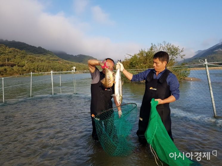 "지구온난화 막으려면 꽃게 말고 연어 먹어라"[과학을읽다]