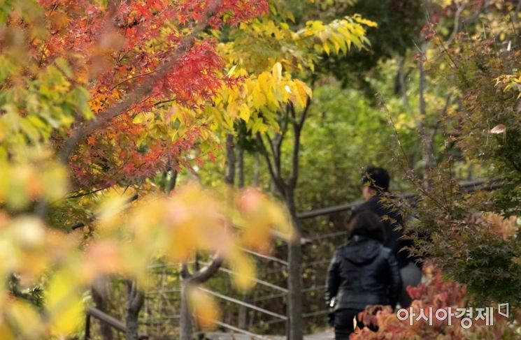 [포토] '가을을 즐기다'