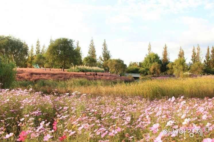 [날씨] 7일 목요일 전국 맑지만 동해안 비 예보