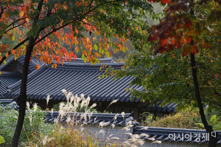 [포토]한옥마을에 찾아온 가을 