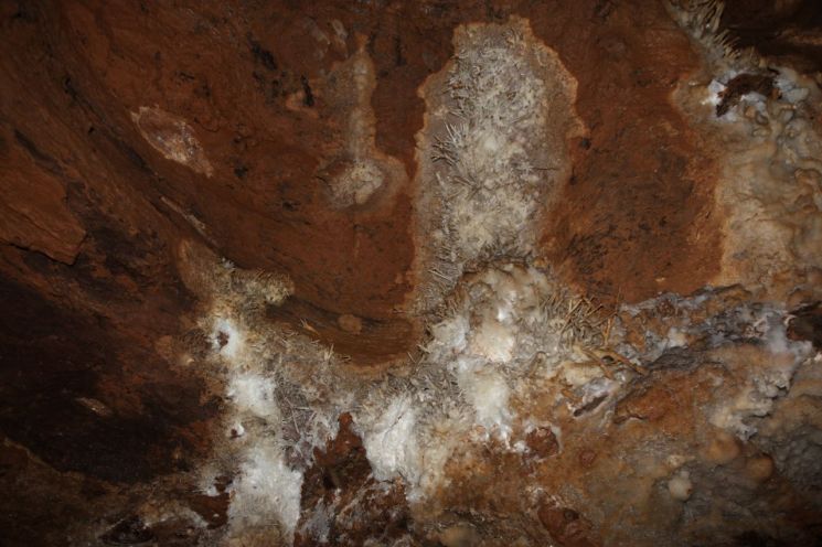 석화 가득한 '정선 화암동굴' 천연기념물 됐다