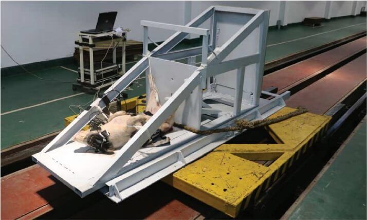 "야만적 동물학대" 中 연구소, 차량 충돌 실험에 새끼돼지 동원