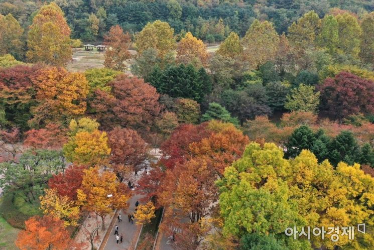 [포토]아름다운 가을옷 입은 인천대공원 
