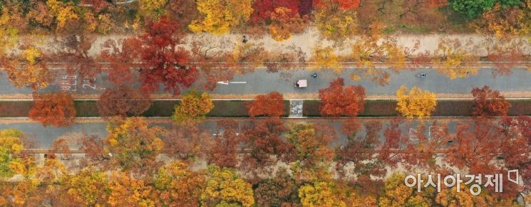[포토]화려한 가을옷 입은 인천대공원 