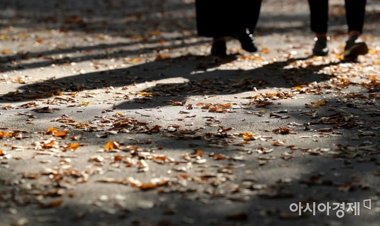 [포토]걷기 좋은 가을 