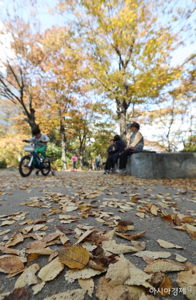 [포토]걷기 좋은 가을 