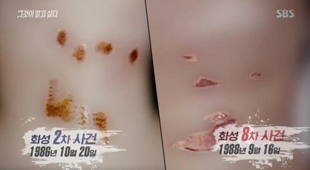 사진=SBS '그것이 알고싶다' 캡처