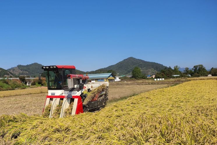 장성군, 5일부터 쌀고정·밭농업직불금 지급