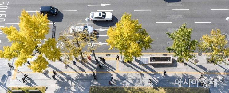 [포토]노랗게 물든 서울 도심