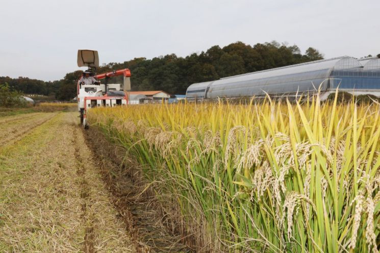 농해수위, 공익형직불금 예산 대폭 올렸는데…쌀목표가격 영향줄까