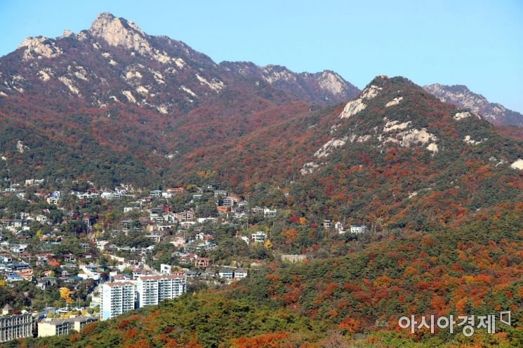 [포토]곱게 물든 단풍 