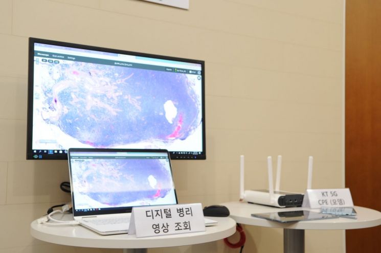 삼성서울병원의 디지털병리 시연모습