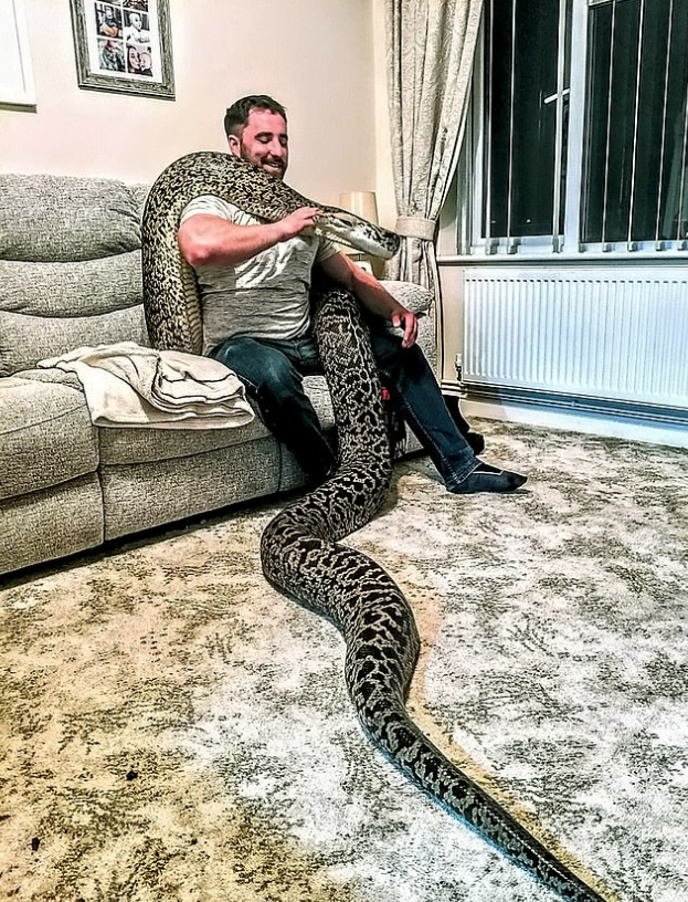 영국 출신 마커스 홉스(31)와 그의 반려뱀 '헥시'/사진=영국 데일리메일 화면 캡처