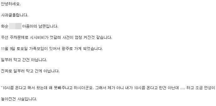 차주가 올린 사과문. 사진=자동차 커뮤니티 '보배드림' 캡처