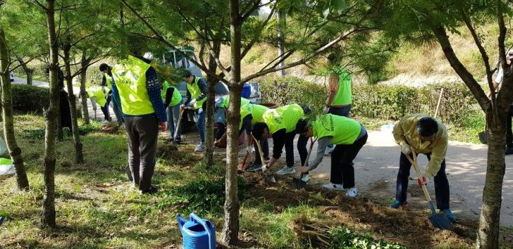 마포구 공기청정숲 조성 500만 그루 대장정 '순조' 
