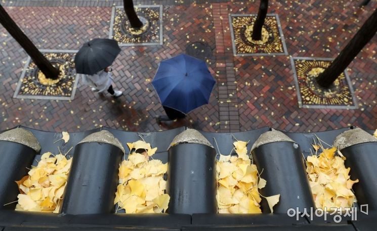 [포토]얼마 남지 않은 가을 