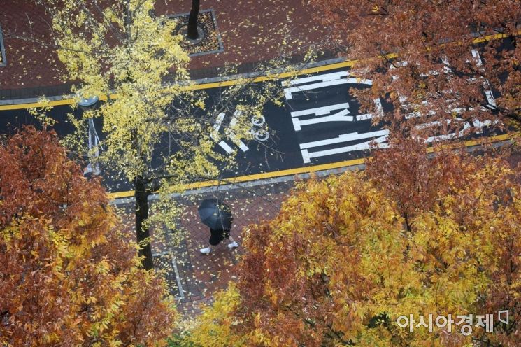 [포토]가을이 간다 