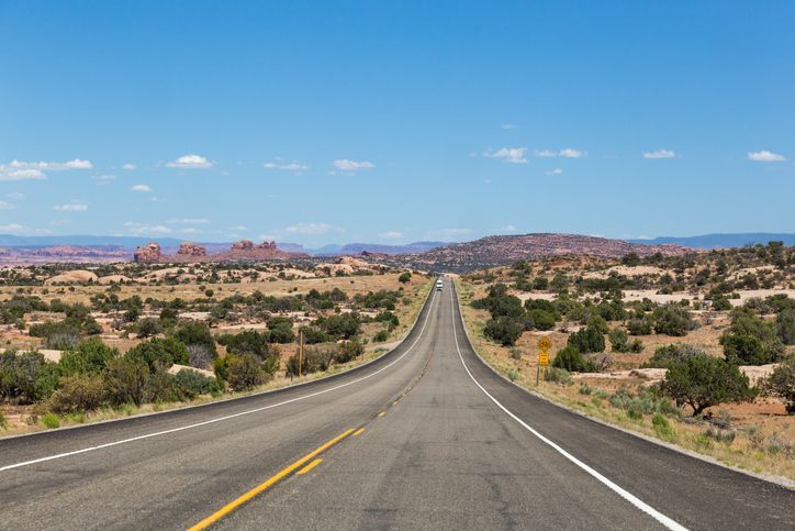 한국 관광객, 美 서부서 과속 주의보… "선인장 속 단속카메라 주의"