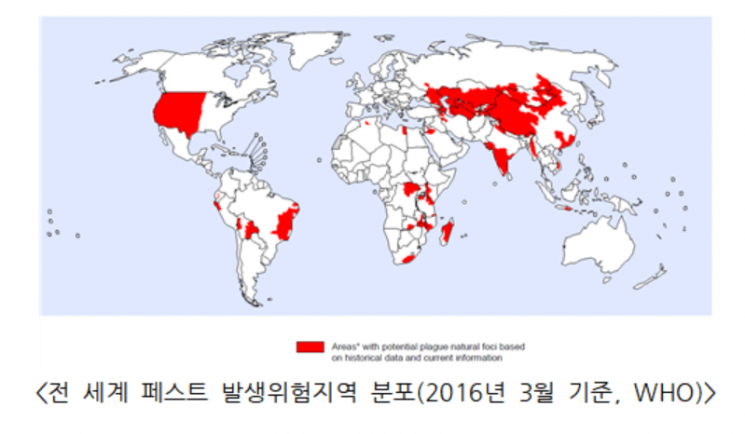 흑사병 공포 확산…"북미·중국여행 주의해야"