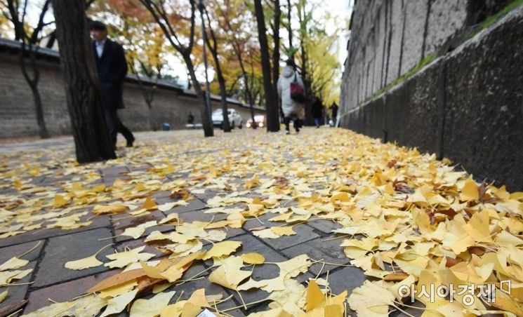 [포토] 낙엽길 걷는 시민들