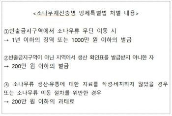 산림청-지자체, 소나무류 이동 ‘특별단속’