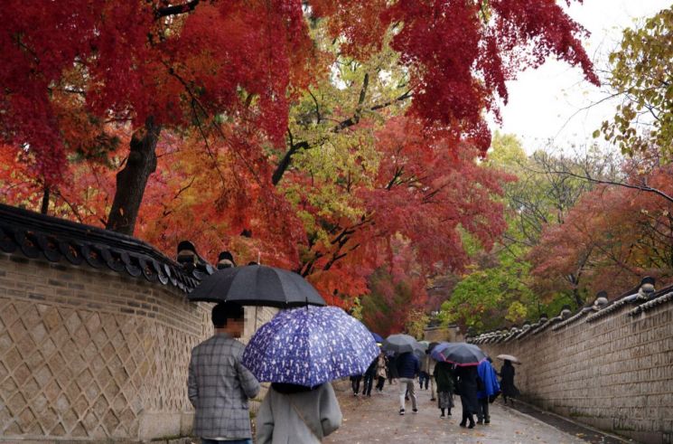 지난 17일 서울 창덕궁 후원을 찾은 관람객들이 비가 내리는 궁궐의 막바지 단풍을 즐기고 있다. / 사진=연합뉴스