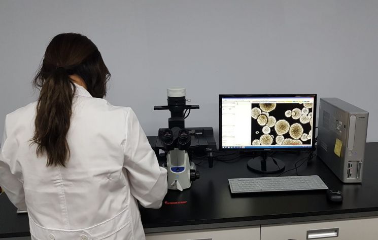 한스바이오메드 서울 송파구 사옥의 세포치료제연구센터에서 한 연구원이 신경줄기세포 조직을 분석하고 있다.