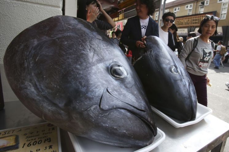 일본, 수산물 규제 강화할 듯…"산지·어획시기 증명서 요구"