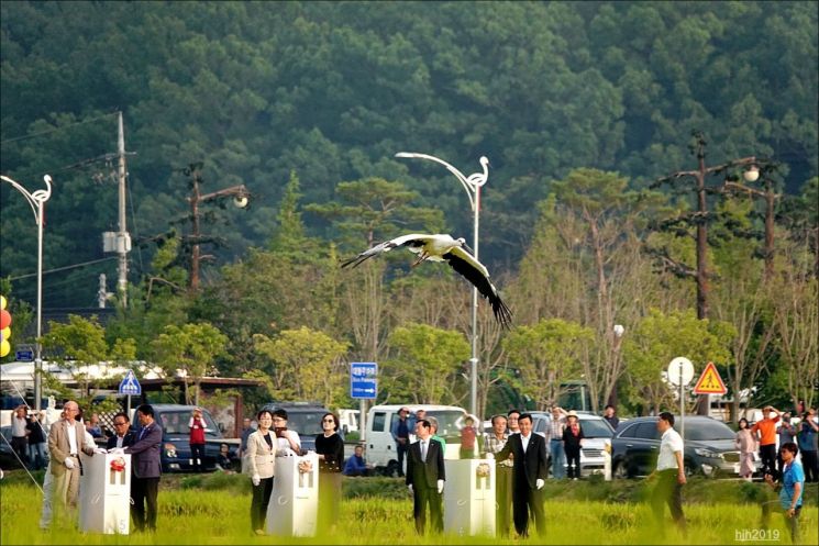 '천연기념물' 황새, 김해·해남·서산 등 5곳서 방사