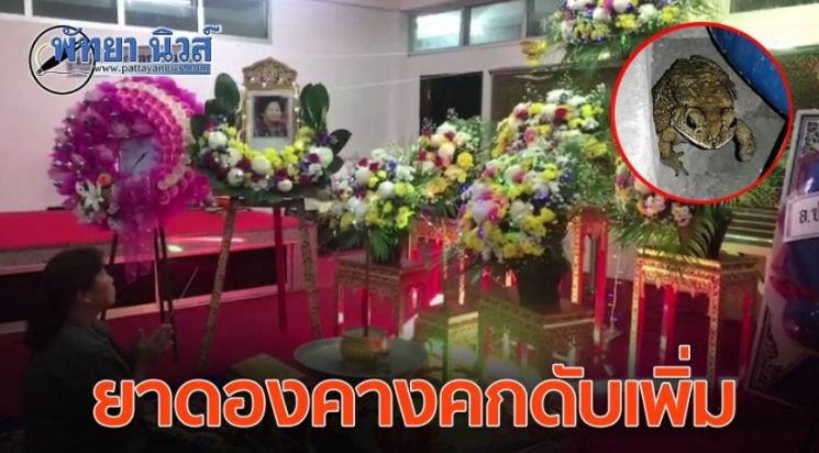태국의 충격사건 ! 두꺼비 술을 마시고 다섯명 사망?