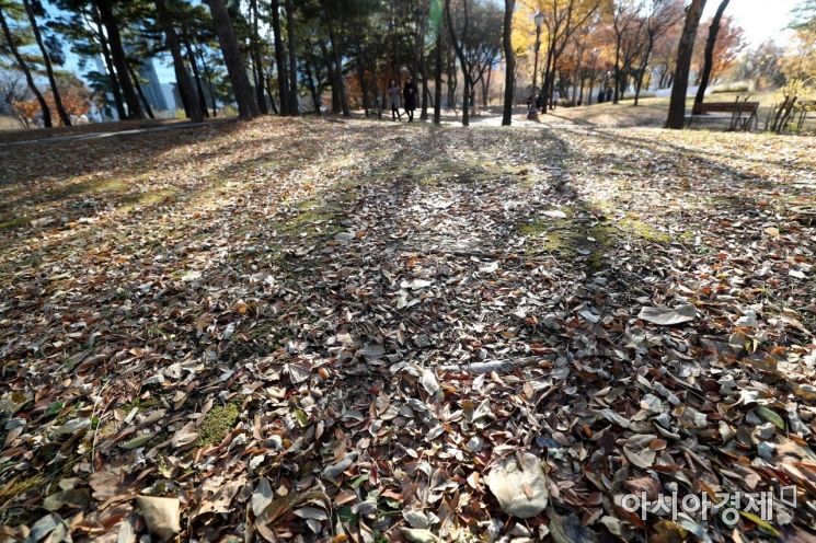[포토]낙엽 밟으며 