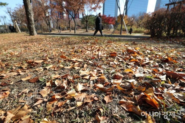 [포토]낙엽 밟는 소리 