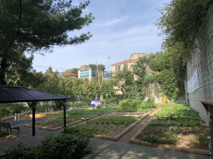 무악동 도시텃밭