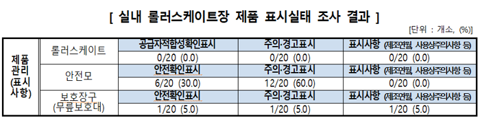 롤러스케이트장 안전사고 급증하지만…'보호장구·안전요원' 없어