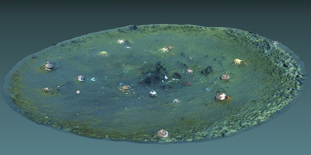 캘리포니아 해안서 거대한 구덩이 수천 개가 발견됐다/사진=미국 캘리포니아주 몬테레이 베이 아쿠아리움 연구소 캡처