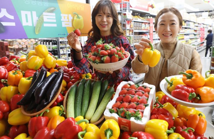 롯데마트 광주지역 4개 점서 ‘스마트 팜’ 농산물 판매