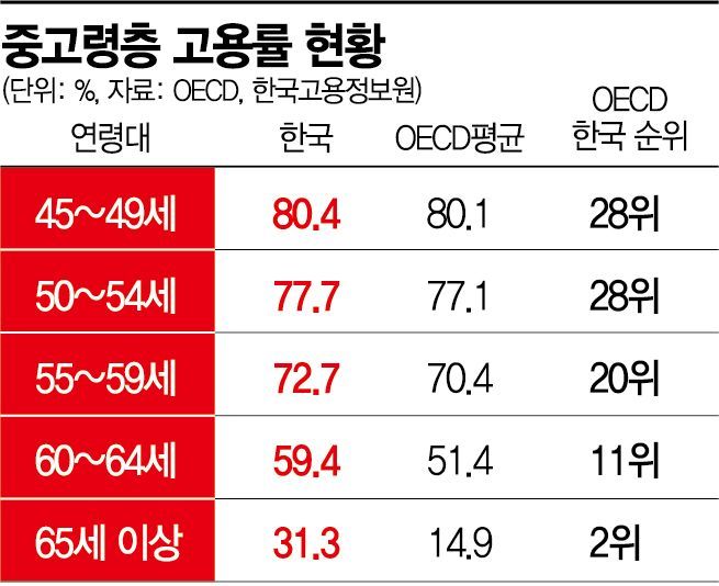 "세계에서 제일 가난한 韓노인들" 노인고용률 세계 2위의 그늘