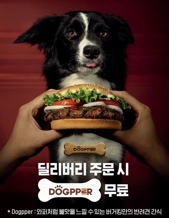 독퍼 사진=버거킹