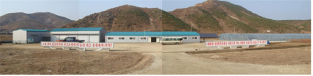 개풍양묘장 전경