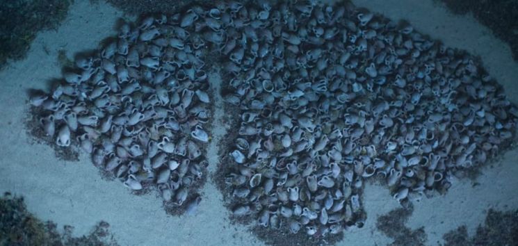 지중해에서 항아리 6000여점 실린 로마시대 난파선 발견 