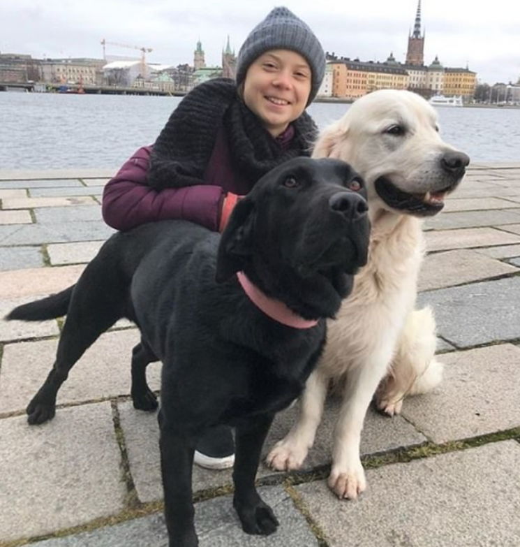 스웨덴 출신 환경운동가 그레타 툰베리(16·GretaThunberg)가 17일(현지시간) 자신의 인스타그램에 올린 사진. 두 마리의 반려견을 안고 포즈를 취하고 있다/사진=그레타 툰베리 인스타그램 캡처