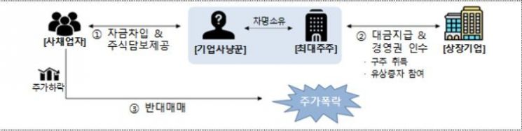 "무자본 M&A 24社 적발…사업하는 척 유용·배임횡령하는 위법사항 뿌리뽑는다"