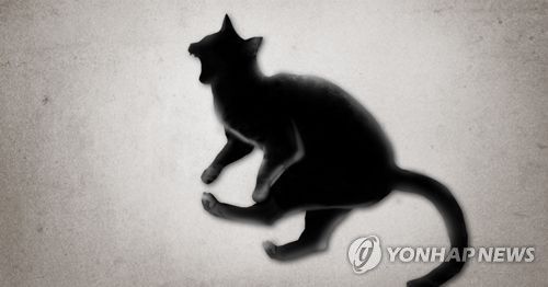 [이미지출처=연합뉴스]