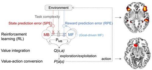 뇌 닮은 인공지능 나온다.. 원리 규명
