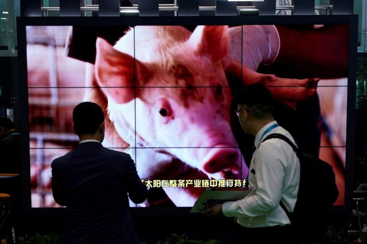 중국, 11월 돈육 수입 150% 급증…소·닭고기도 덩달아 늘어