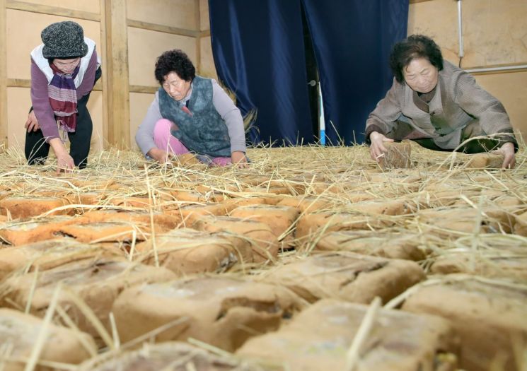  [포토] 할머니들의 정성으로 ‘익어가는 메주’