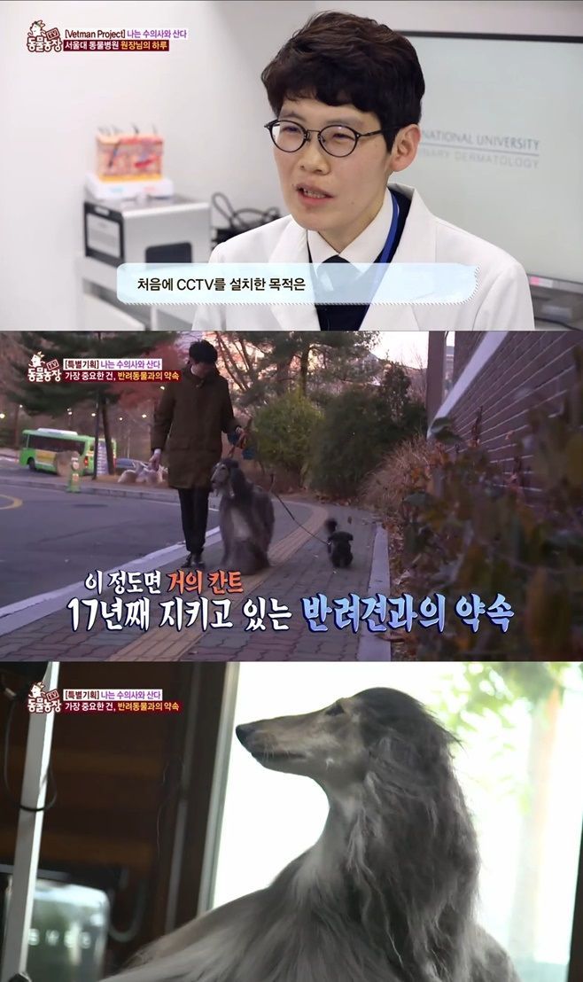 SBS 'TV 동물농장' 황철용 서울대 동물병원 원장 / 사진=SBS
