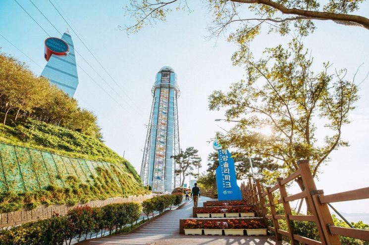 진해 해양 솔라파크와 짚라인 / 사진=창원시