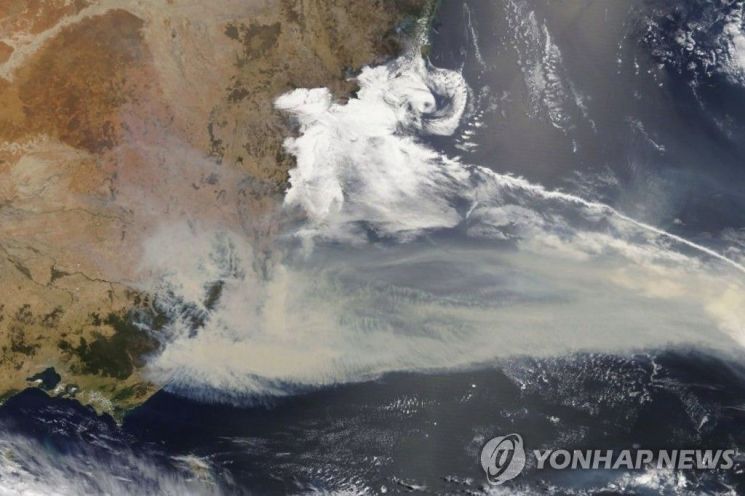 산불로 인해 연기에 뒤덮인 호주 남동부 해안 지역 위성 사진 / 사진=연합뉴스